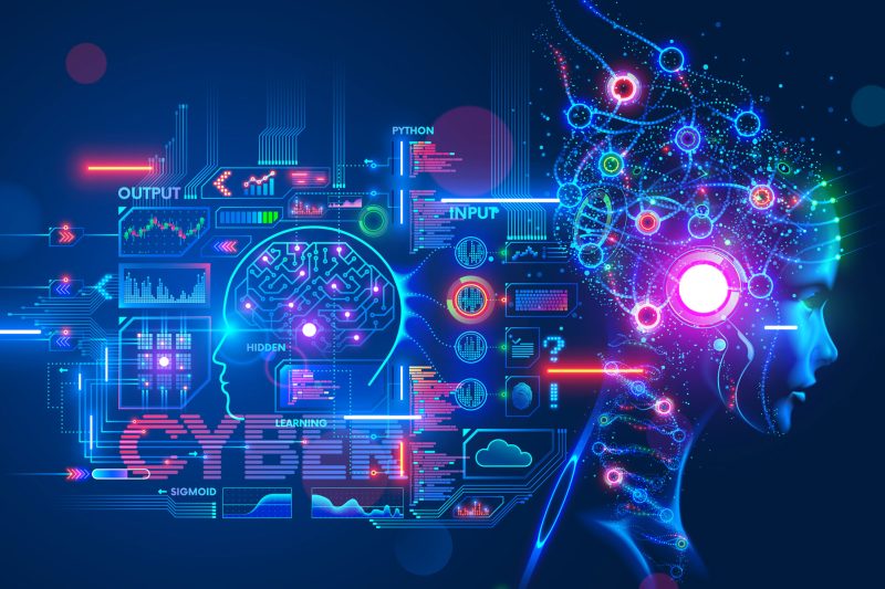 AI‑Driven Personalization: Crafting Tailored Experiences at Scale